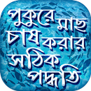 মাছ চাষ পদ্ধতি পুকুরে মাছ পালন APK