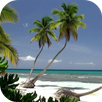 Ocean Beach Live Wallpaper APK