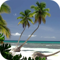 Ozean Strand Live-Hintergründe
