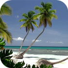 Ocean Beach Live Wallpaper icon