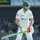 Real T20 Cricket Game 2024 APK