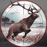 Deer Hunting by Safari Hunter
