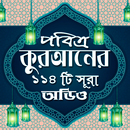কুরআনের ১১৪টি সূরাঅডিও-Offline APK