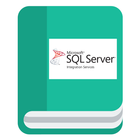 SSIS Tutorials 아이콘