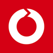 Roundshot Livecam Global-icoon