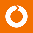 Roundshot Livecam icono