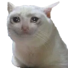 Funny Cat Stickers For WhatsApp - WAStickerApps APK download