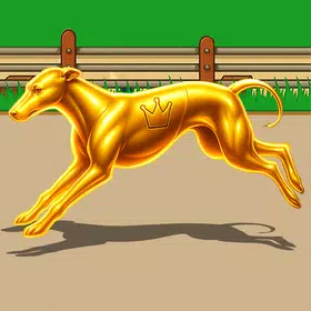 Dog Racing