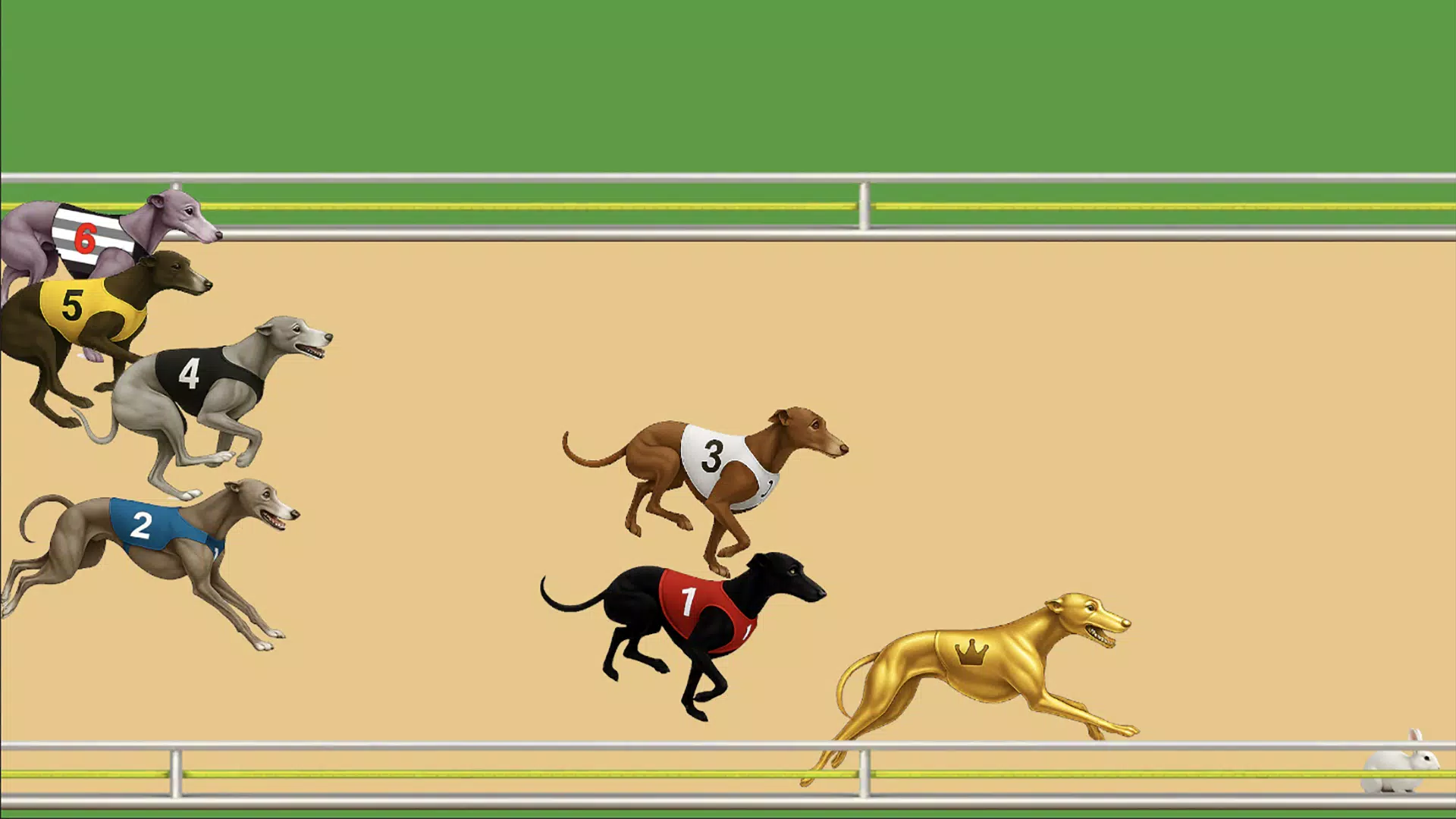 Dog Racing