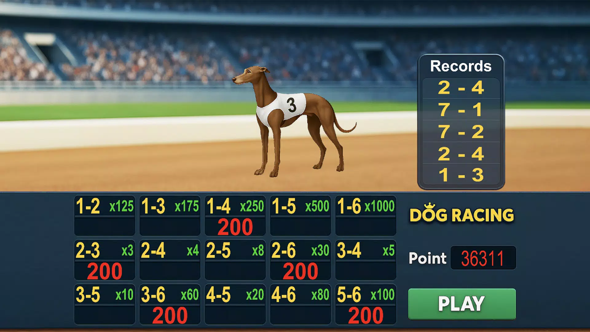 Dog Racing