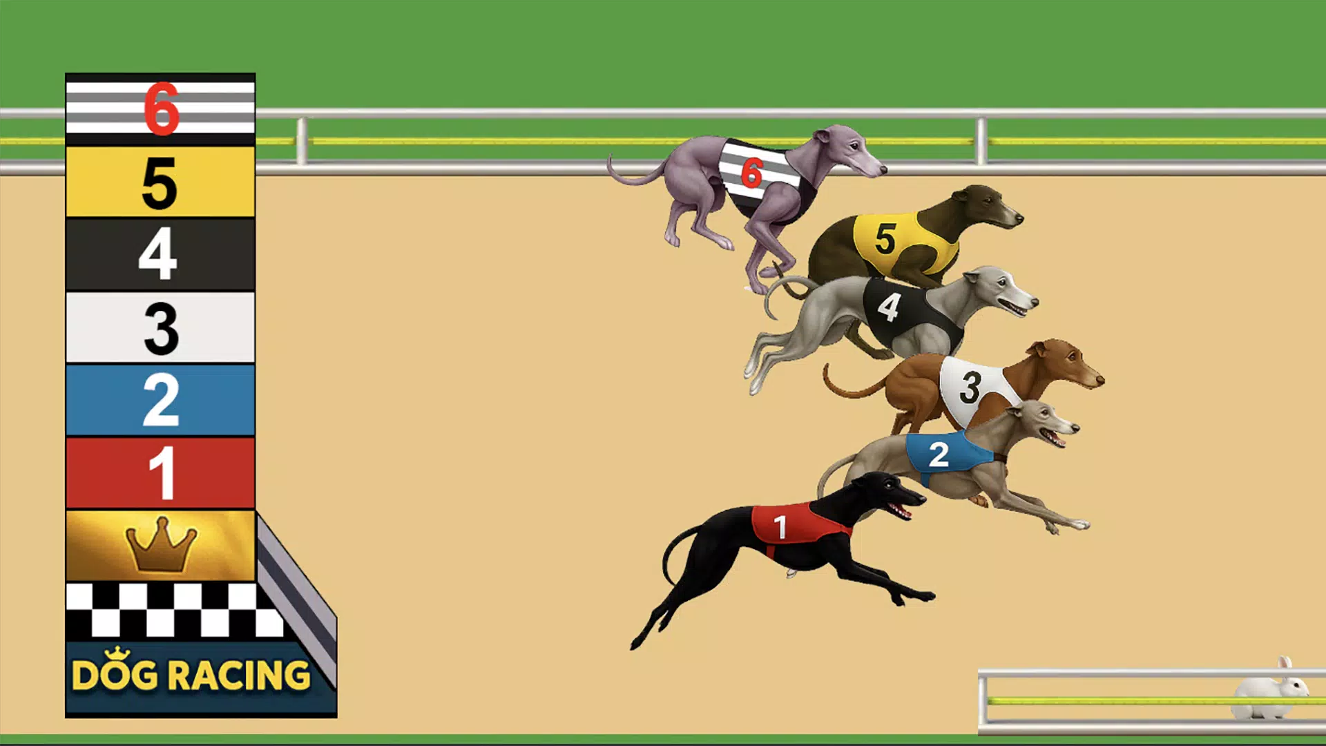 Dog Racing