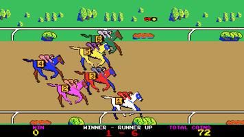 Horse Racing capture d'écran 2