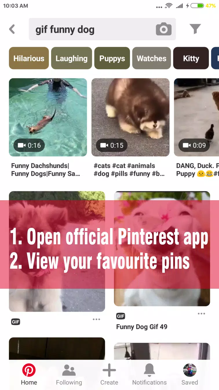 Video Downloader for Pinterest APK for Android Download