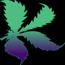 Kushy - Cannabis, CBD Delivery APK