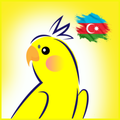 DYP Imtahan 2025