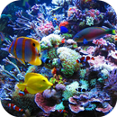 Ocean Aquarium Live Wallpaper APK