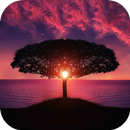 Sunrise Live Wallpaper APK