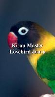Kicau Master Lovebird Juara โปสเตอร์