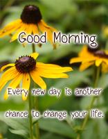 Good Morning sticker poster