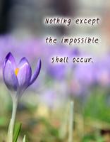 Inspirational Quotes Free screenshot 1