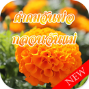 คำคมวันแม่  คำคมวันพ่อ  คำคมพ่อแม่ aplikacja