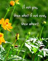 Romantic Love Quotes & Images poster