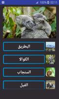 أسرار الحيوانات بدون نت poster