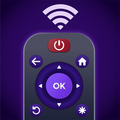 Universal TV Remote Controller