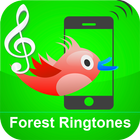 Birds Ringtones icon