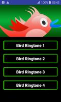 Birds Ringtones poster