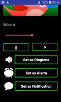 Birds Ringtones screenshot 1