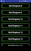 Birds Ringtones screenshot 2