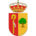 BICArona icon