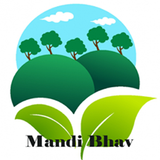 Mandi.Bhav icon