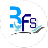 3Fs ikona