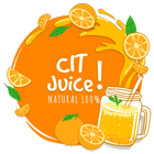 CIT Juice icône