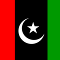 ”pppp website