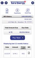 Tara Energy, LLC 截圖 3