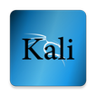 Kali Linux Installation Guide