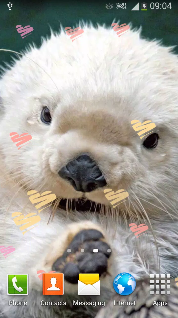 Android 用の デスクトップ 動物の壁紙 かわいい写真 Apk をダウンロード