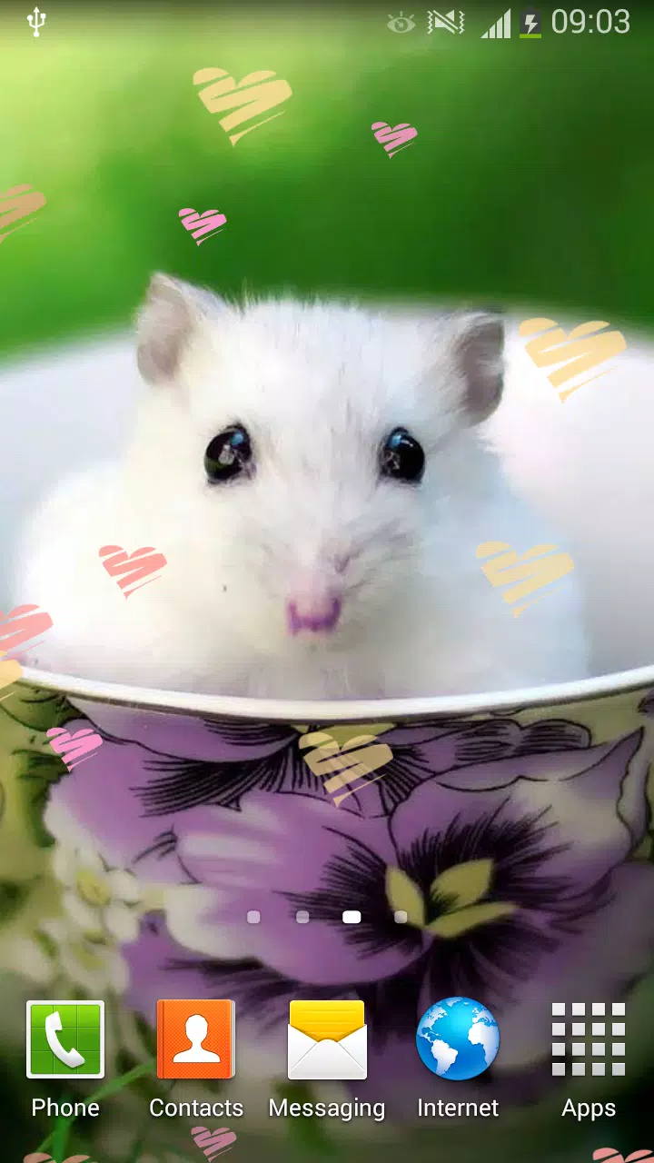 Android向けのデスクトップ 動物の壁紙 かわいい写真 Apkをダウンロードしましょう
