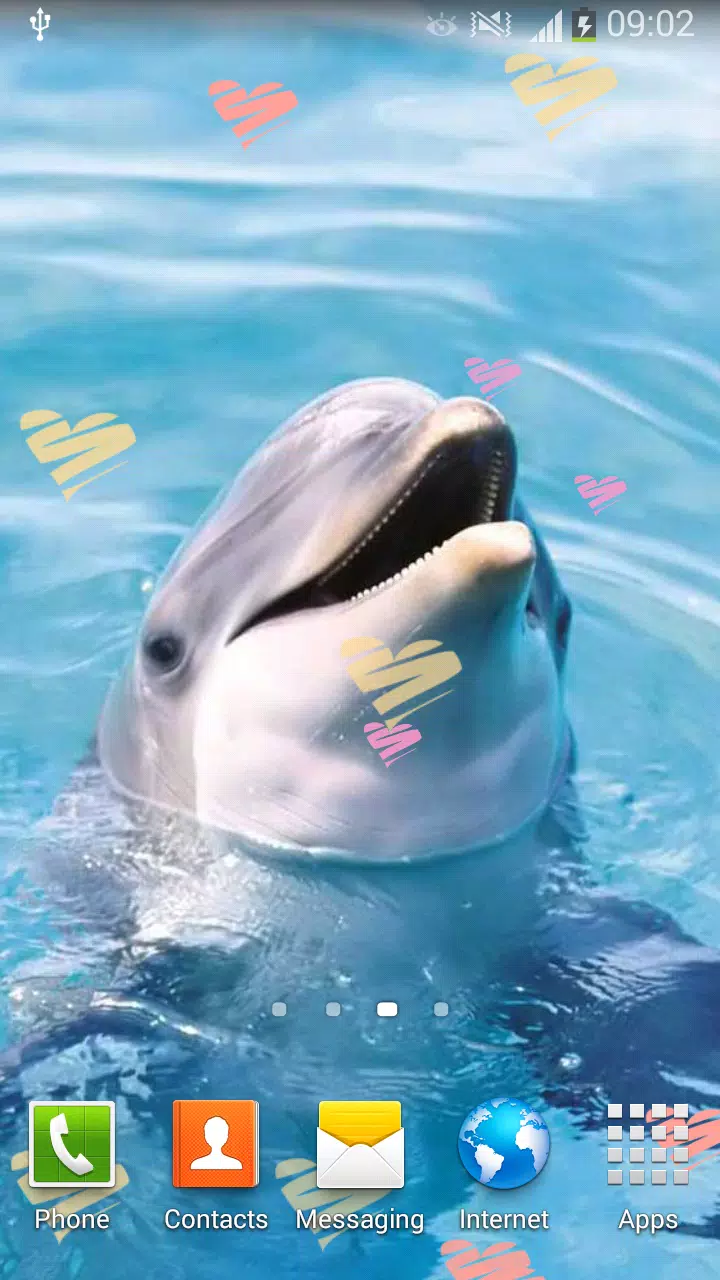 Android向けのデスクトップ 動物の壁紙 かわいい写真 Apkをダウンロードしましょう
