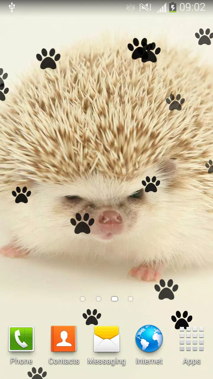 Android向けのデスクトップ 動物の壁紙 かわいい写真 Apkをダウンロードしましょう
