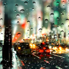 Rainy City Live Wallpaper HD আইকন