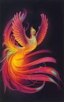 Phoenix Wallpaper Affiche
