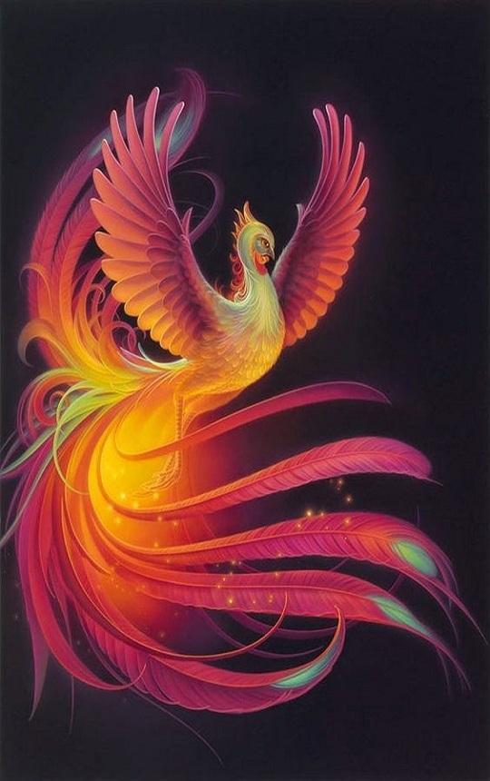 Phoenix Wallpaper For Android Apk Download Phoenix Wallpaper For Android Apk Download