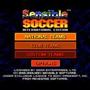 APK Sensible Soccer SMD
