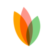 PhorestGuest