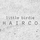 Little Birdie Hair Co 아이콘