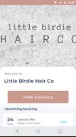 Little Birdie Hair Co Affiche